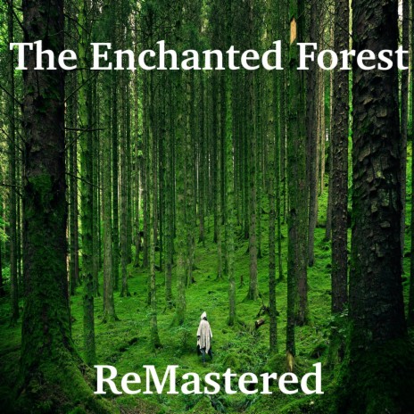 The Enchanted Forest | Boomplay Music