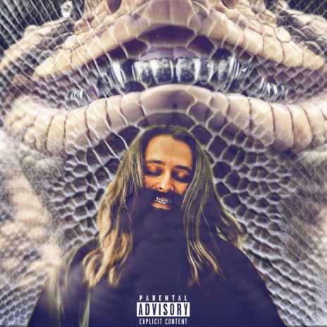 Snake Venom | Boomplay Music