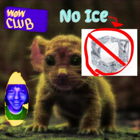 No Ice | Boomplay Music