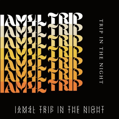 Trip in the Night | Boomplay Music