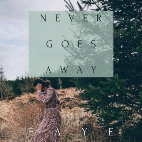 Never Goes Away | Boomplay Music