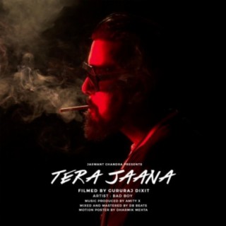 Tera Jaana