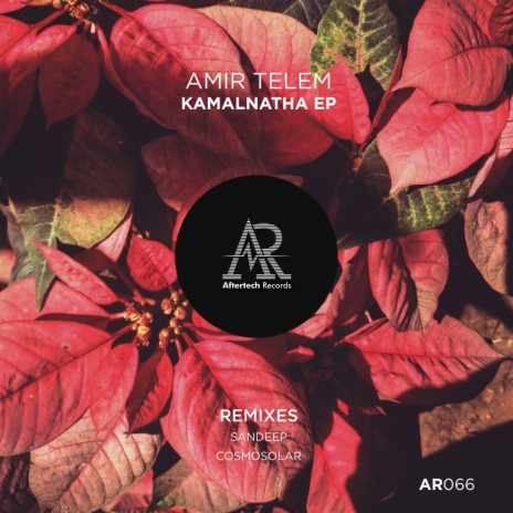 Kamalnatha (Sandeep's Deeper Groove Mix)