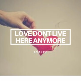 love dont live here anymore lyrics | Boomplay Music
