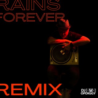 Never Rains Forever (DJ Opdiggy Remix) (Remix)