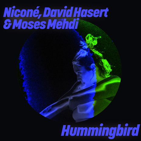 Hummingbird (Paons Remix) ft. David Hasert & Moses Mehdi | Boomplay Music