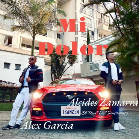 Mi Dolor Alex Garcia ft. Alcides Zamarra | Boomplay Music