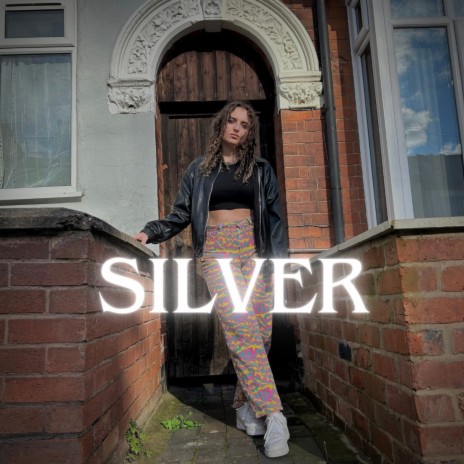 Silver | Boomplay Music