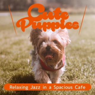 Relaxing Jazz in a Spacious Cafe