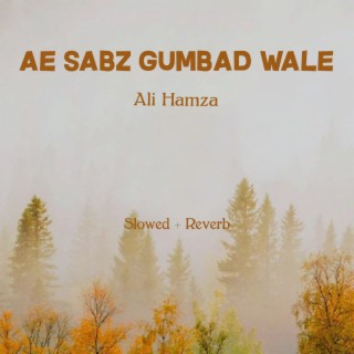 Ae Sabz Gumbad Wale Lofi