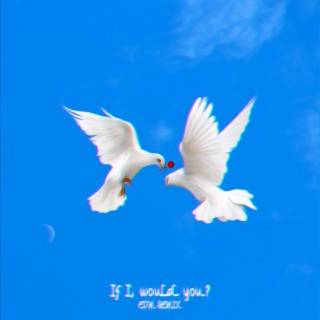 If I, Would You? (EDM REMIX)