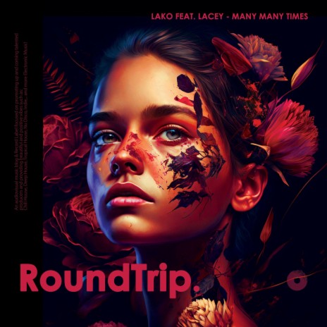 Many Many Times ft. RoundTrip.Music & Lacey | Boomplay Music