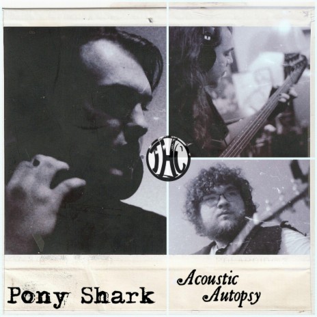 Pony Shark (Acoustic Autopsy)