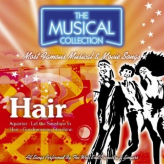 Hair (The Musical Collection)