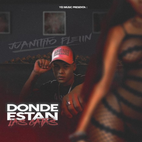 Donde Estan las Gatas | Boomplay Music