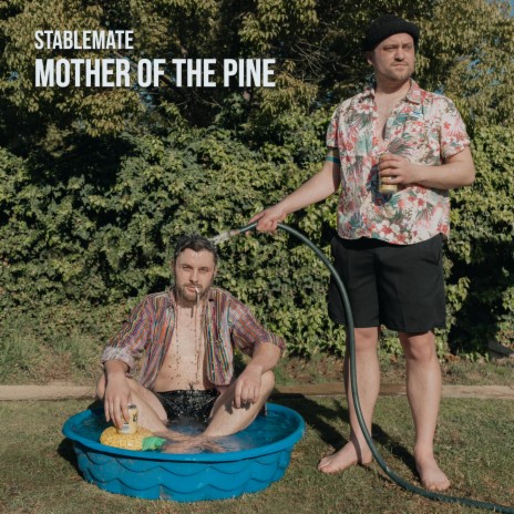 Mother of the Pine | Boomplay Music