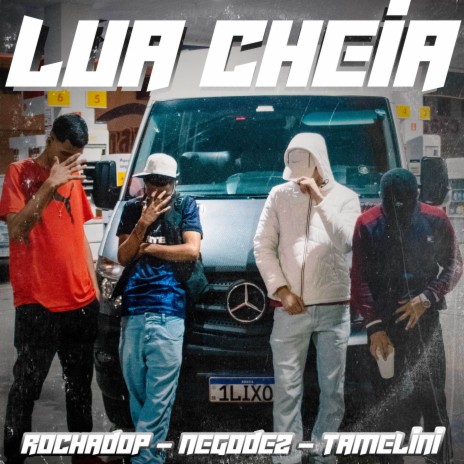 Lua Cheia ft. Tamelini & Nego Dez | Boomplay Music