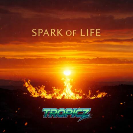 Spark of Life | Boomplay Music