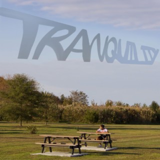 Tranquility lyrics | Boomplay Music