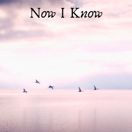 Now I Know | Boomplay Music