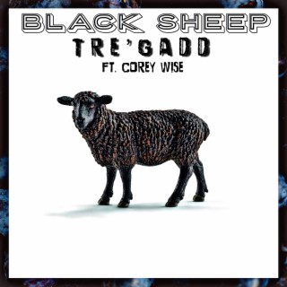 Black Sheep