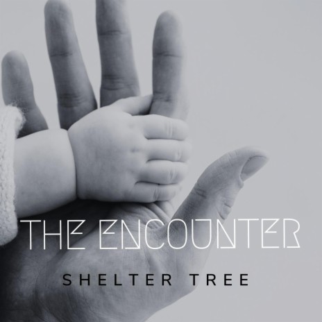 The Encounter | Boomplay Music