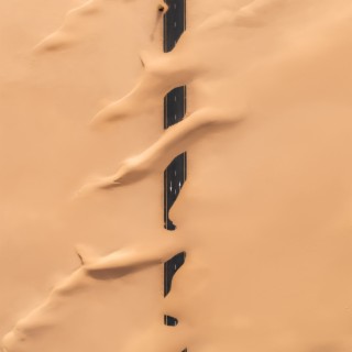 Desert