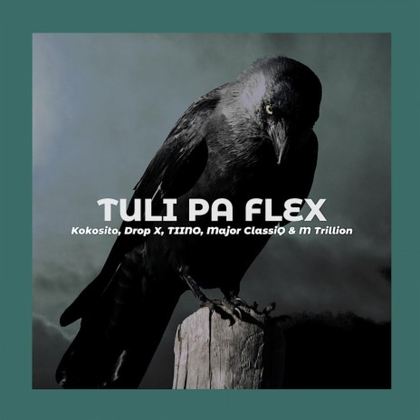 Tuli Pa Flex (feat. Drop X, TIINO, Major ClassiQ & M Trillion) | Boomplay Music