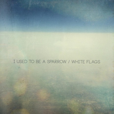 White Flags | Boomplay Music