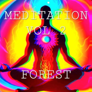 Meditation vol 2 Forest