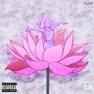 Pink Lotus Shawty