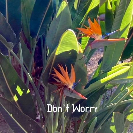 Don’t Worry | Boomplay Music