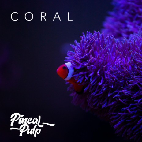 Coral | Boomplay Music