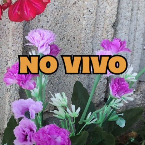 No Vivo | Boomplay Music