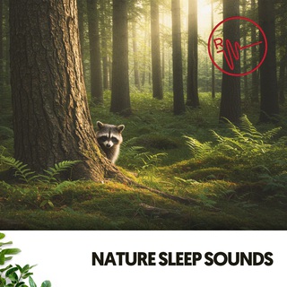 Nature Sleep Sounds: Dreaming with the Whispering Trees