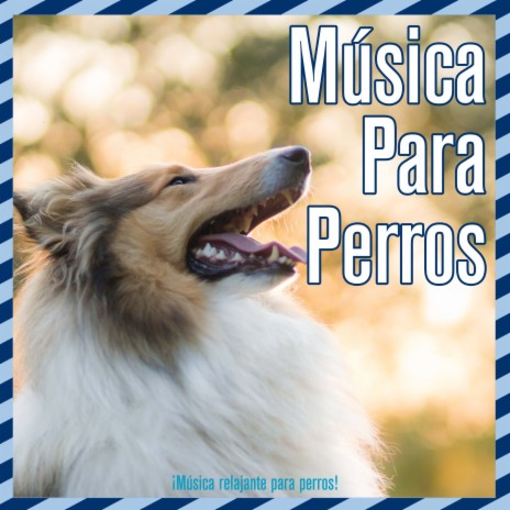 Relaja a mi perro ft. Dog Music Dreams | Boomplay Music