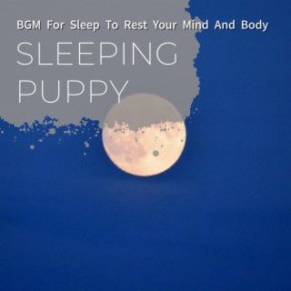 Bgm for Sleep to Rest Your Mind and Body