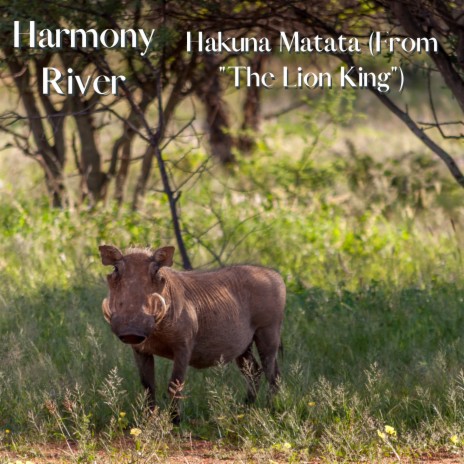 Hakuna Matata (From The Lion King) | Boomplay Music