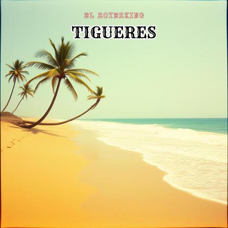 tigueres | Boomplay Music