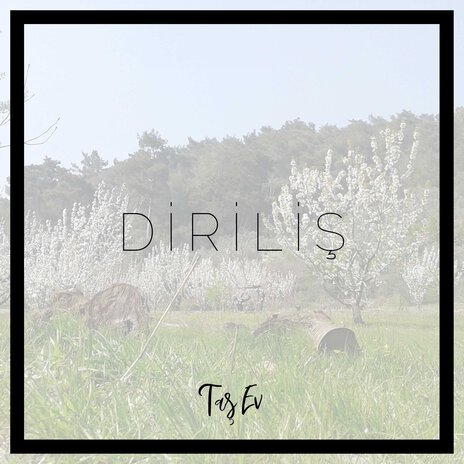 Diriliş | Boomplay Music