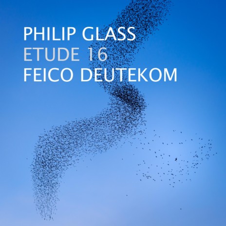 Etude No.16 ft. Feico Deutekom