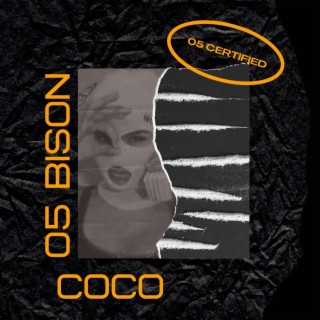 coco lyrics | Boomplay Music