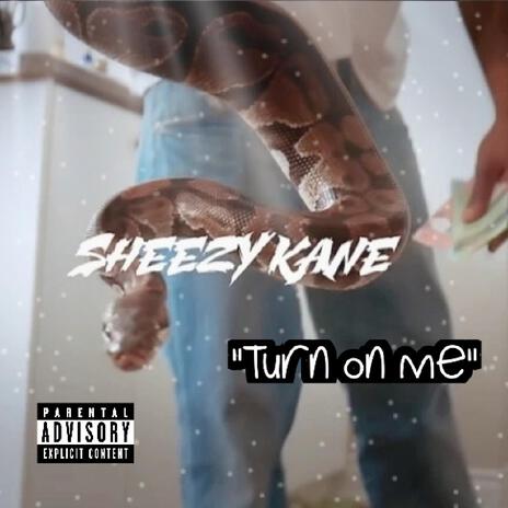 Sheezy Kane (Turn On Me) | Boomplay Music