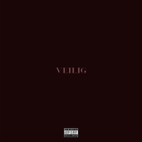 Veilig | Boomplay Music