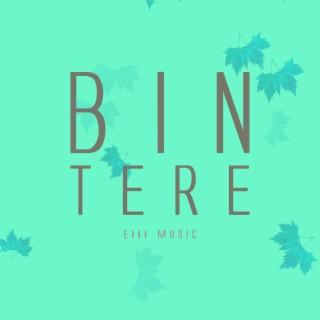 Bin Tere