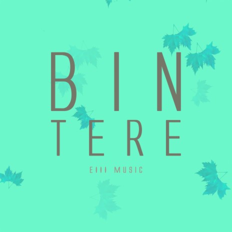 Bin Tere | Boomplay Music