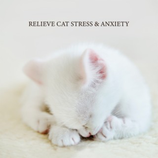 Relieve Cat Stress & Anxiety