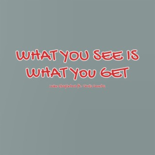 What You See Is What You Get