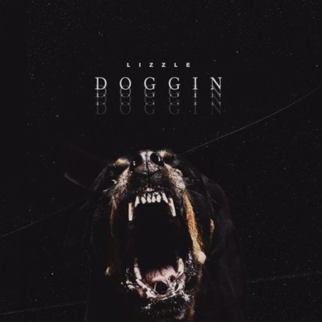 Doggin | Boomplay Music