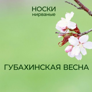 Губахинская весна